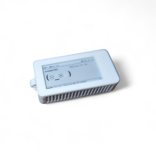 Pwnagotchi  Raspberry Pi Zero 2W & Waveshare V4